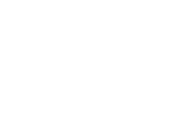 AccFin Inc.